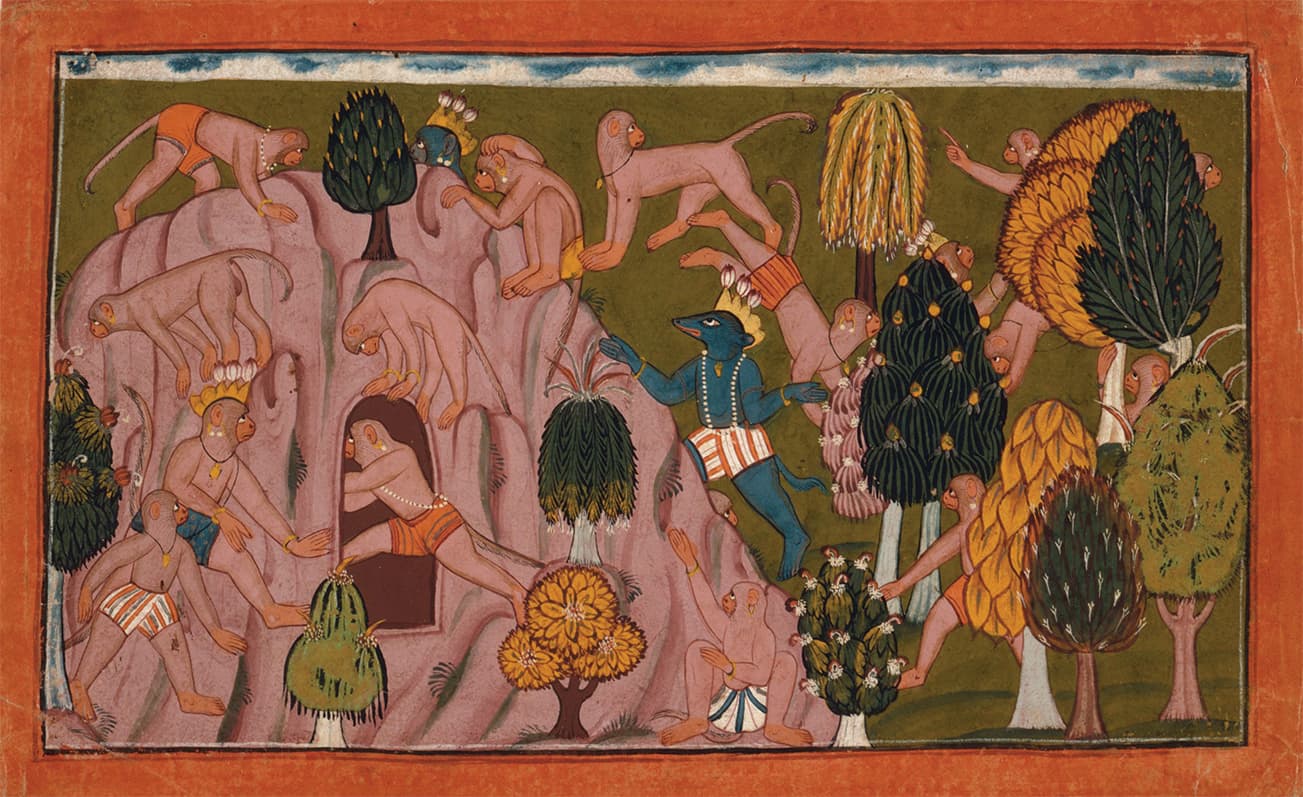 pink monkeys in forest