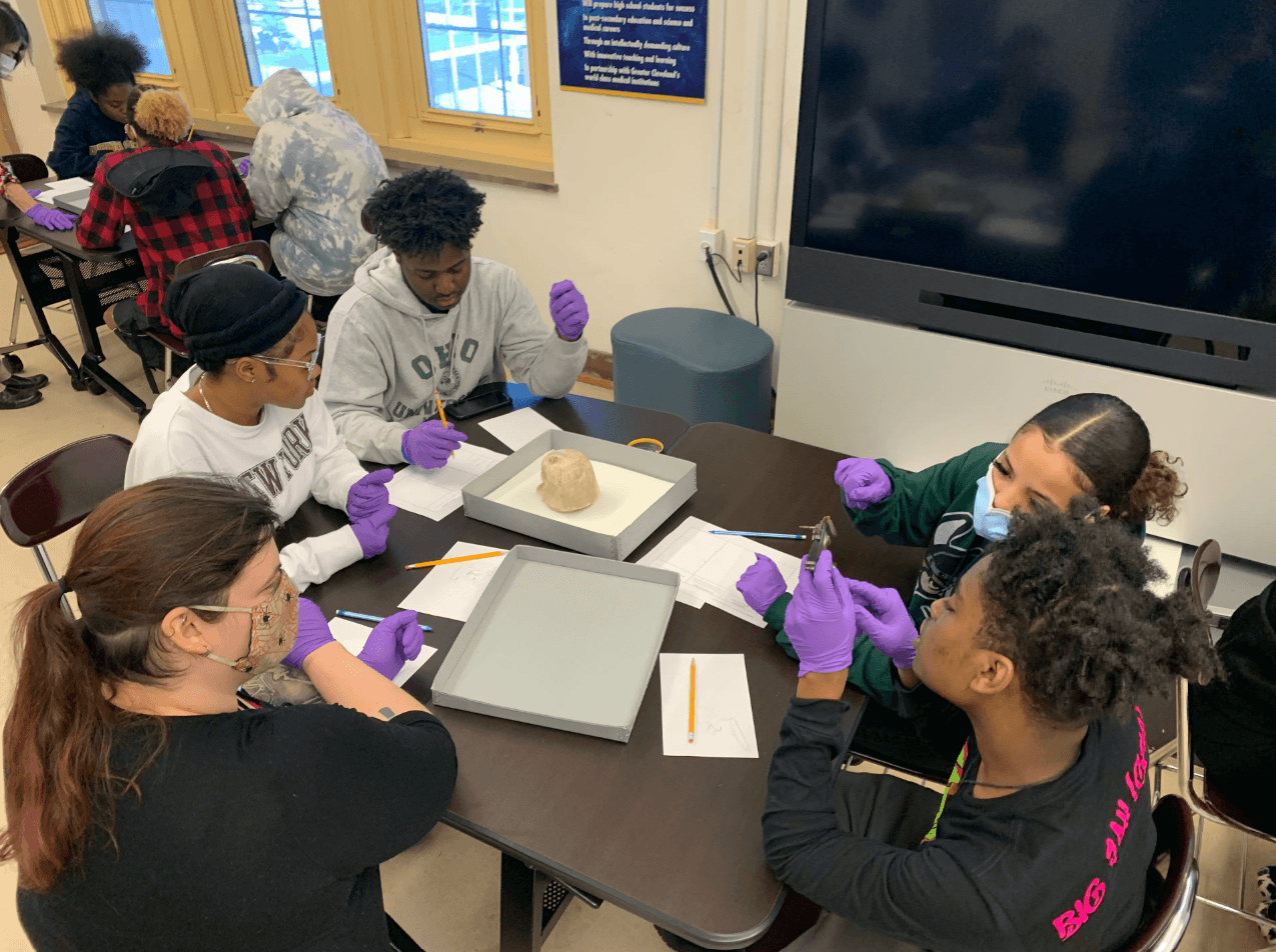 Students looking at objects