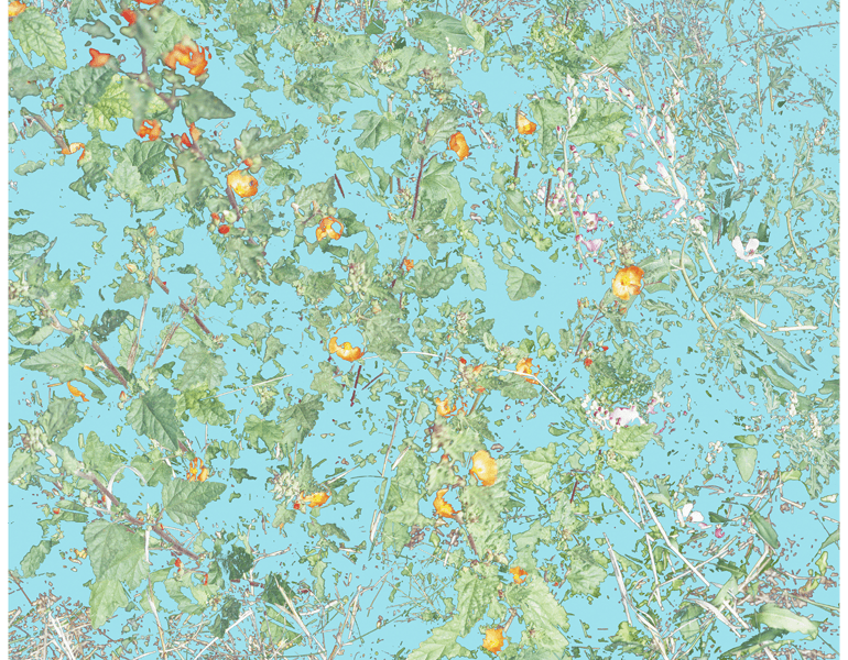 dendelion-like imagery on a light blue background