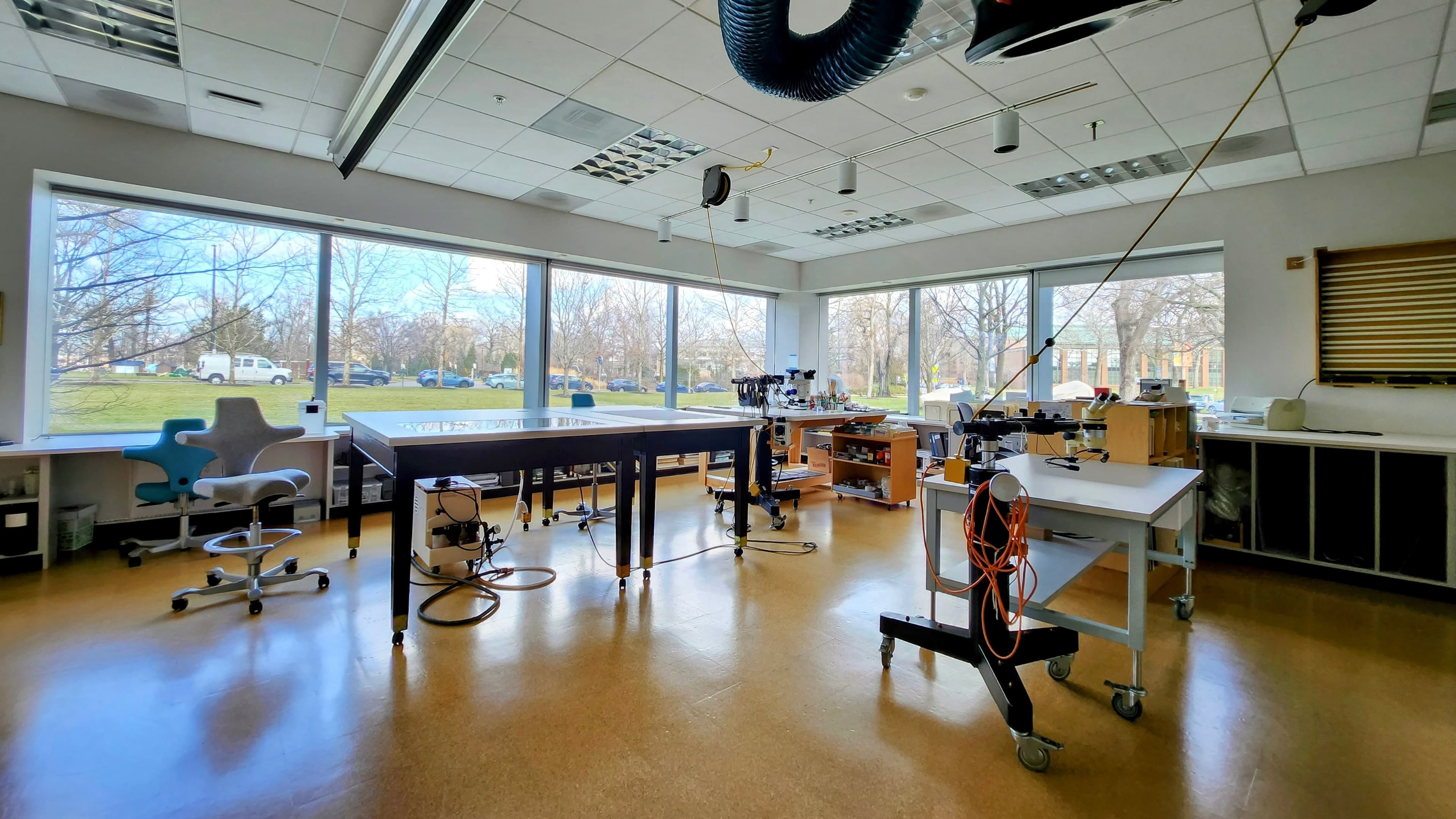 Inside the paper conservation lab at the CMA